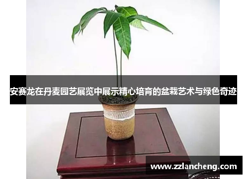 安赛龙在丹麦园艺展览中展示精心培育的盆栽艺术与绿色奇迹