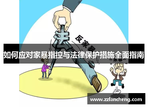 如何应对家暴指控与法律保护措施全面指南