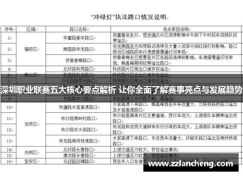 深圳职业联赛五大核心要点解析 让你全面了解赛事亮点与发展趋势
