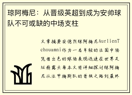 琼阿梅尼：从晋级英超到成为安帅球队不可或缺的中场支柱