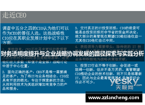 财务透明度提升与企业战略协调发展的路径探索与实践分析